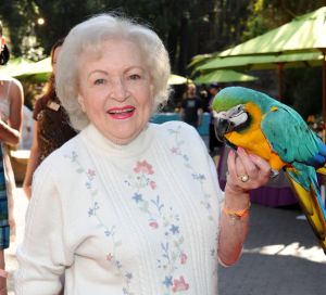 Los Angeles Zoo Association's 40th Annual Beastly Ball