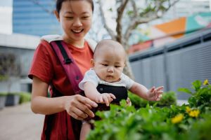 Curios Asian baby touching plant leaves at outdoor park