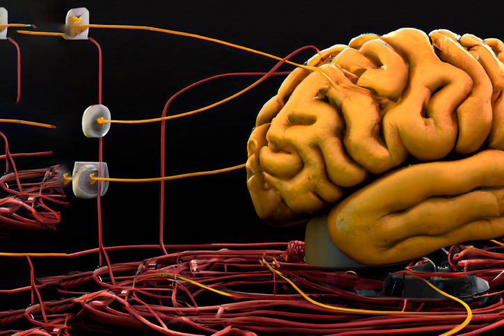 Artificial intelligence concept. Human brain connected to a computer. metaverse.