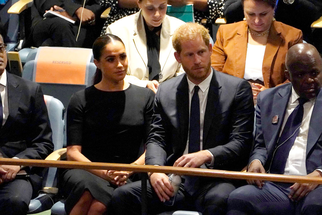 Britain's Prince Harry Delivers An Address At The U.N. General Assembly