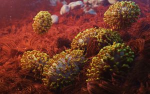 Microscopy details of monkeypox virus infecting human tissue