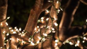 Closeup shot of a tree decorated with Christmas lights in Seaside California