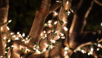 Closeup shot of a tree decorated with Christmas lights in Seaside California
