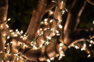 Closeup shot of a tree decorated with Christmas lights in Seaside California