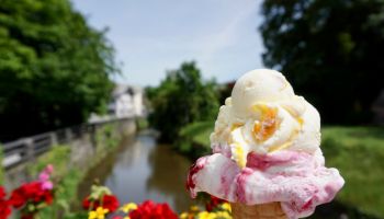 Bright pink-yellow ice cream and bright flowers around. Italian gelato is yellow and pink. Ice cream with two roundels in a waffle cup around the flowers.