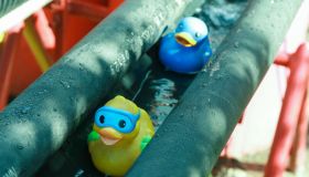 High Angle View Line Of Two Rubber Ducks Floating Along Water Channel