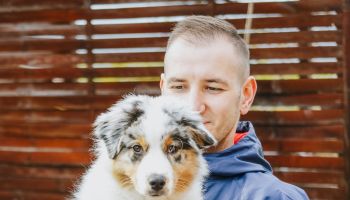 Australian Shepherd Puppy Bonding With His Dad,Romania