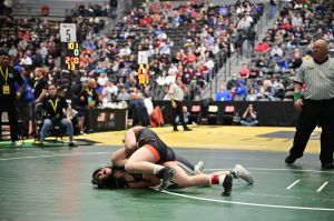 wrestling