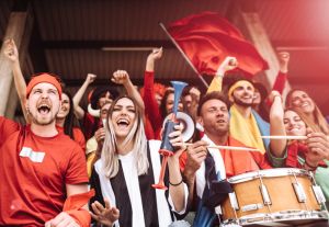 happiness sport supporter at the stadium