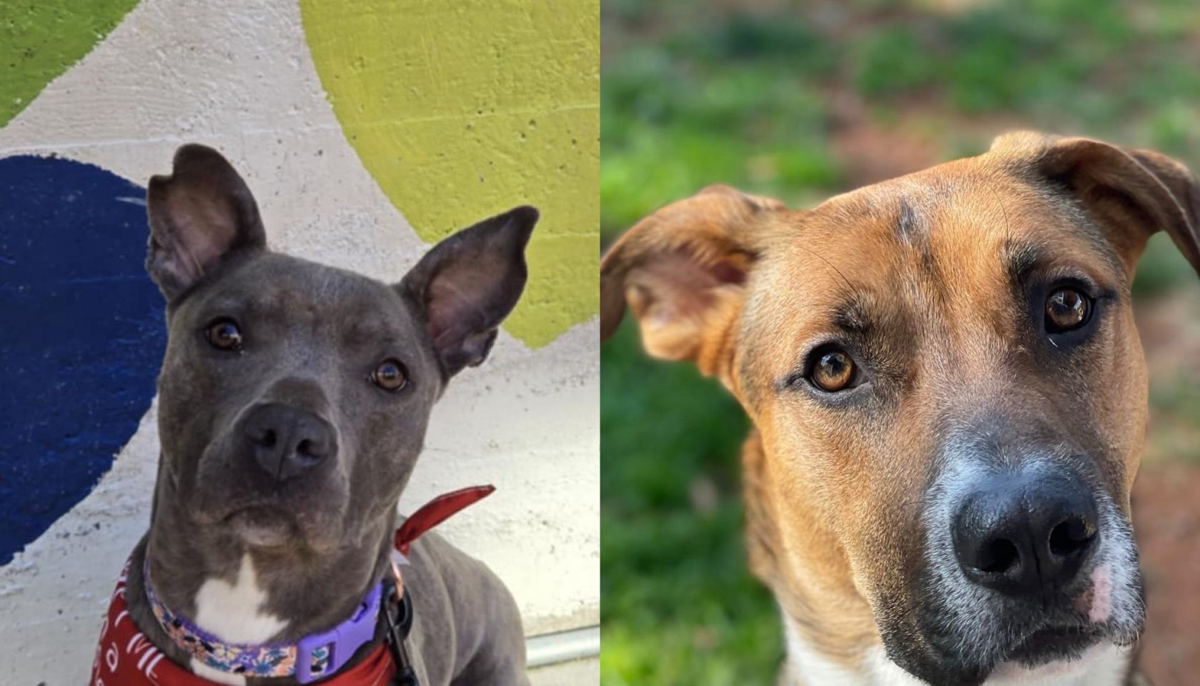 Belle&Max