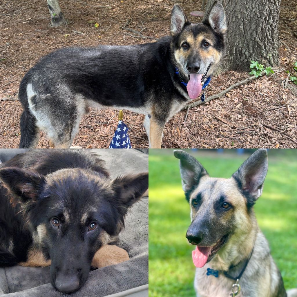 Riley&Ryder&Piper